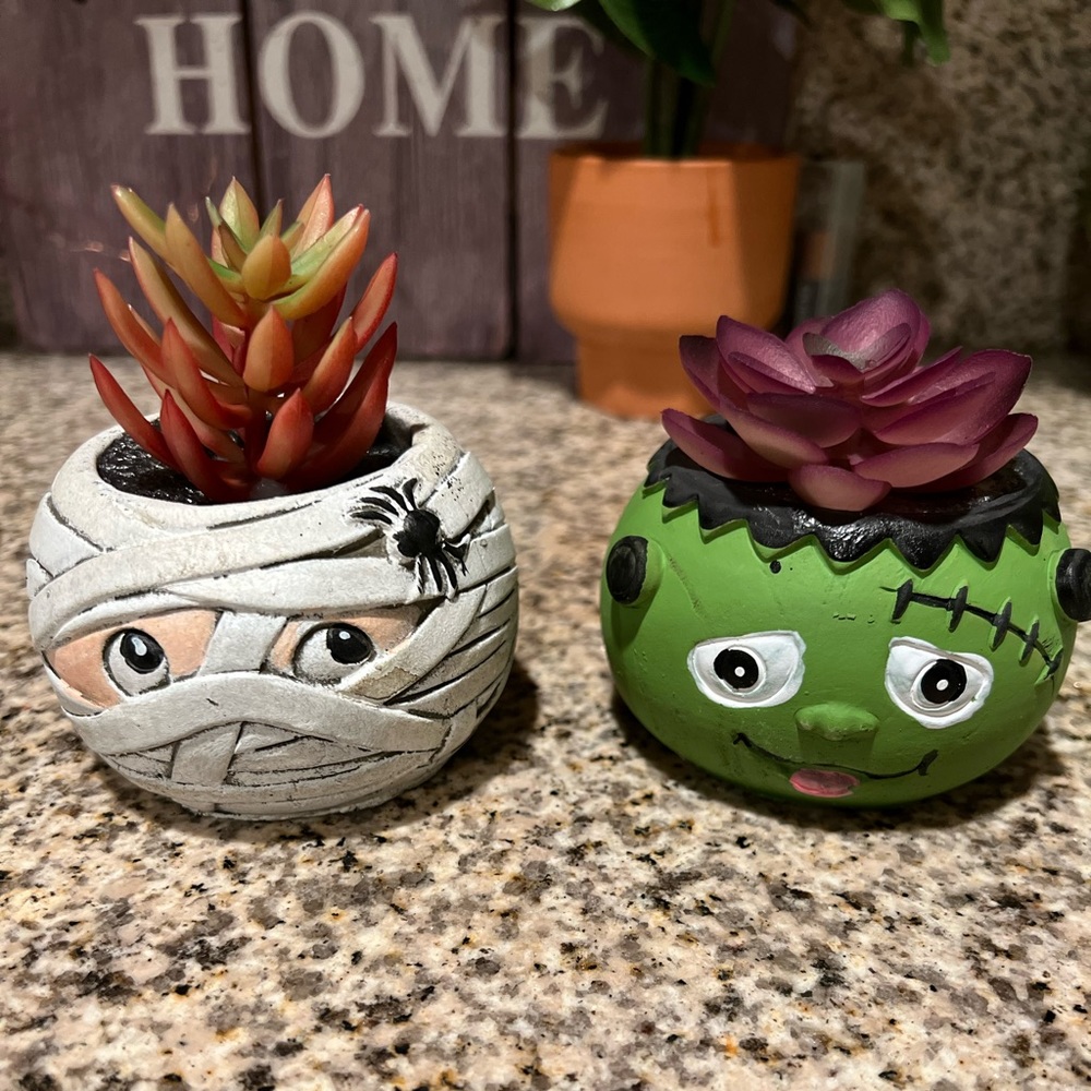 Mummy and Frankenstein succulents